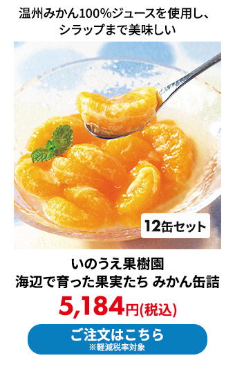 いのうえ果樹園 海辺で育った果実たち みかん缶詰 12缶セット
