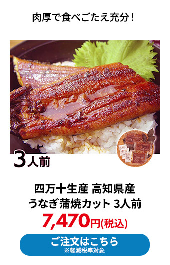 四万十生産 高知県産うなぎ蒲焼カット 3人前 