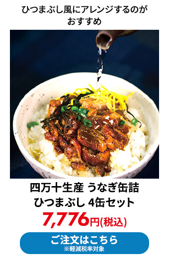 四万十生産 うなぎ缶詰 ひつまぶし 4缶セット