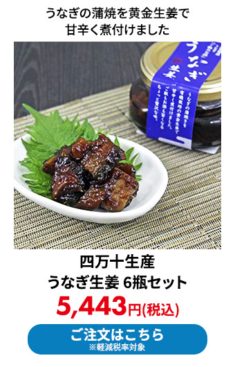 四万十生産 うなぎ生姜 6瓶セット
