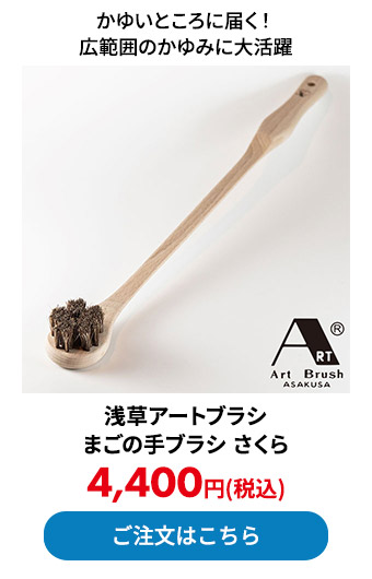 浅草アートブラシ まごの手ブラシ さくら