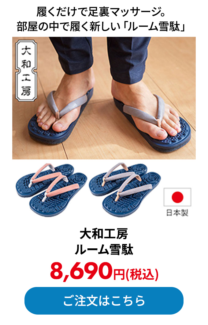 大和工房 ルーム雪駄