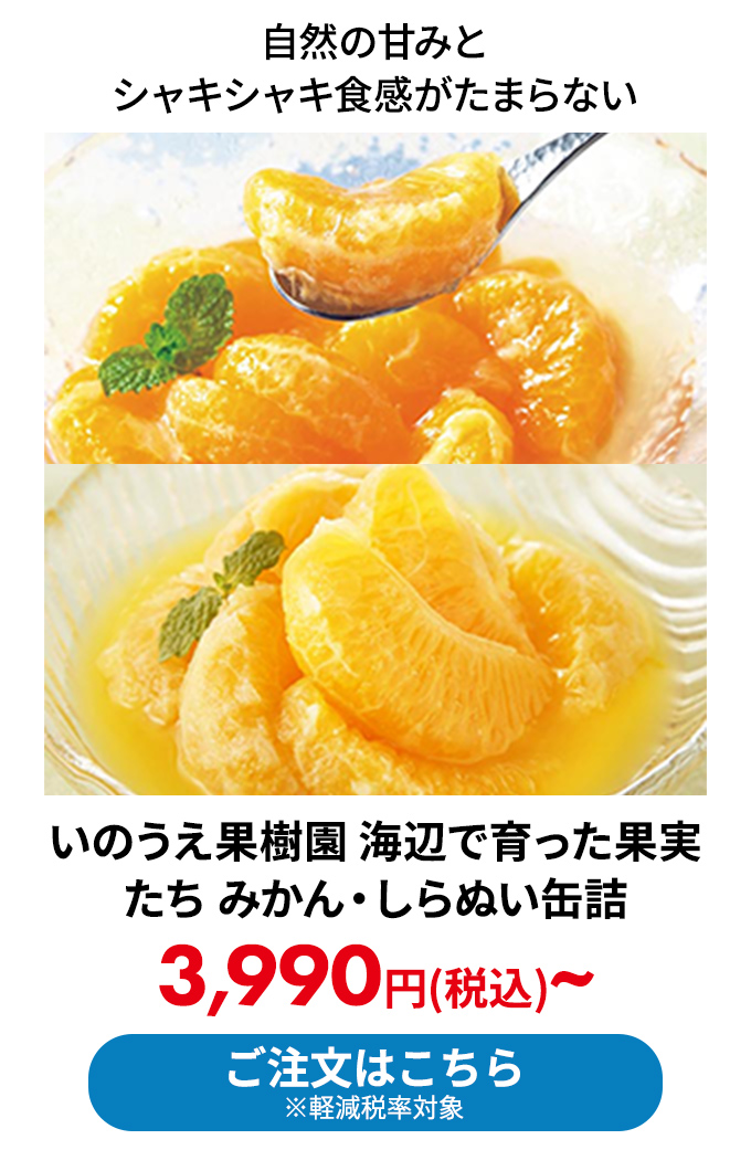 いのうえ果樹園 海辺で育った果実たち みかん・しらぬい缶詰