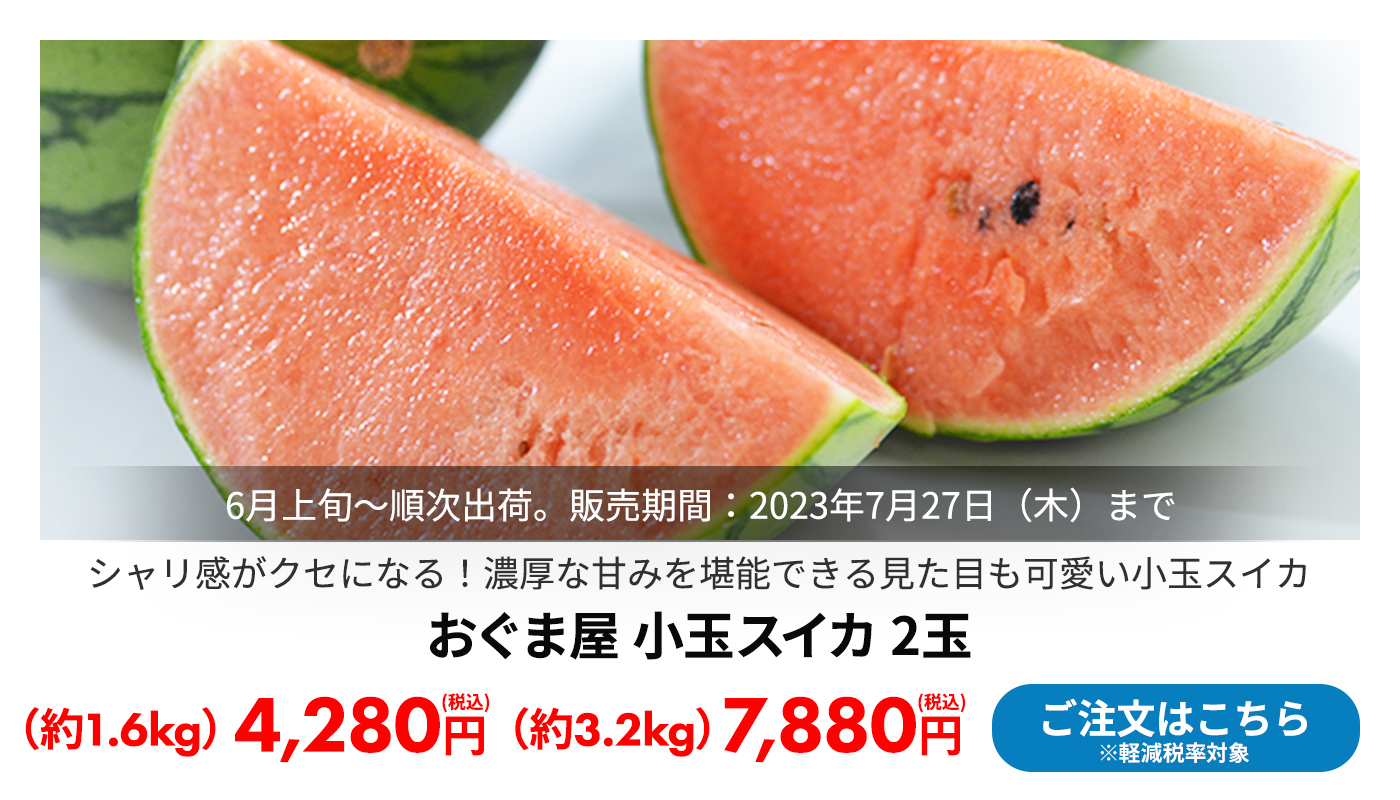 おぐま屋 小玉スイカ 2玉 約1.6kg/約3.2kg