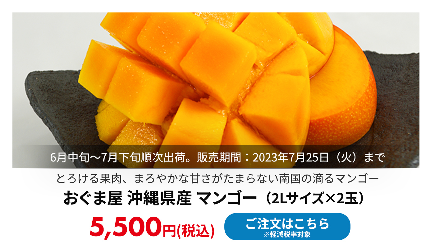 おぐま屋 沖縄県産 マンゴー 2Lサイズ×2玉