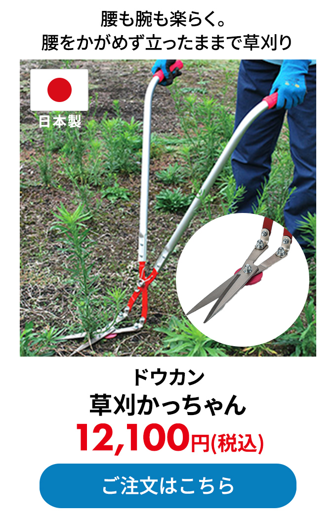 ドウカン 草刈かっちゃん 