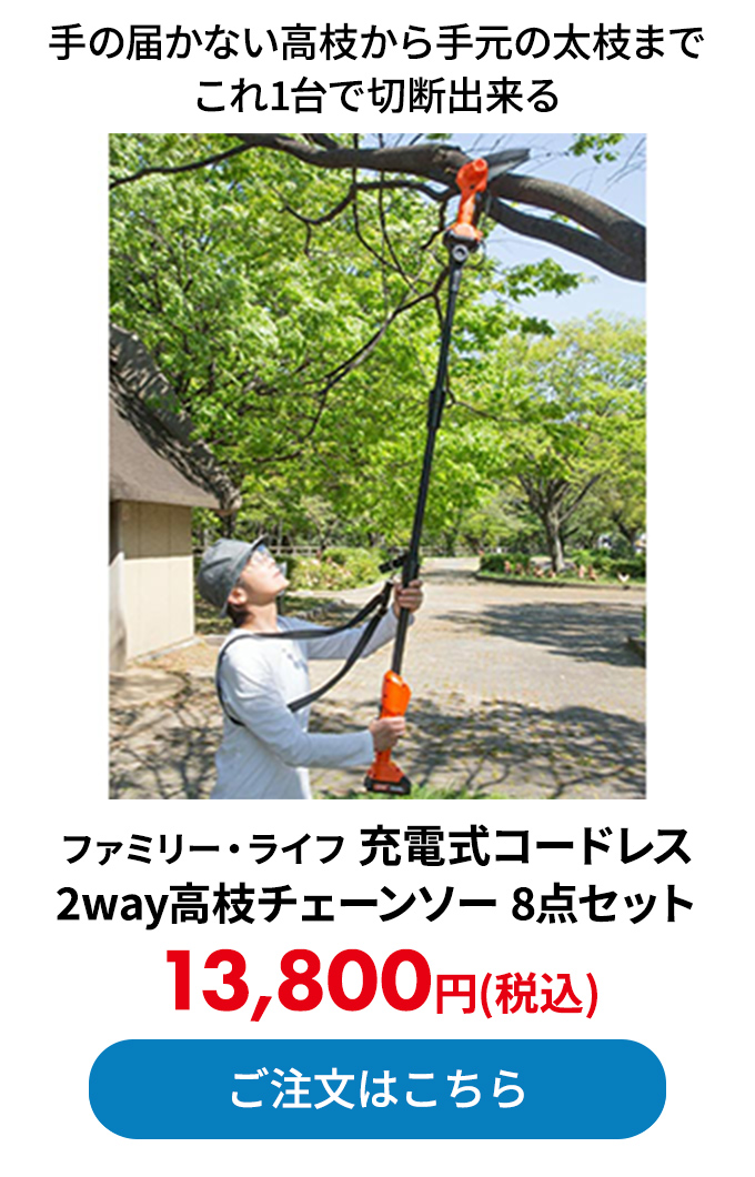 ファミリー・ライフ 充電式コードレス2way高枝チェーンソー 8点セット