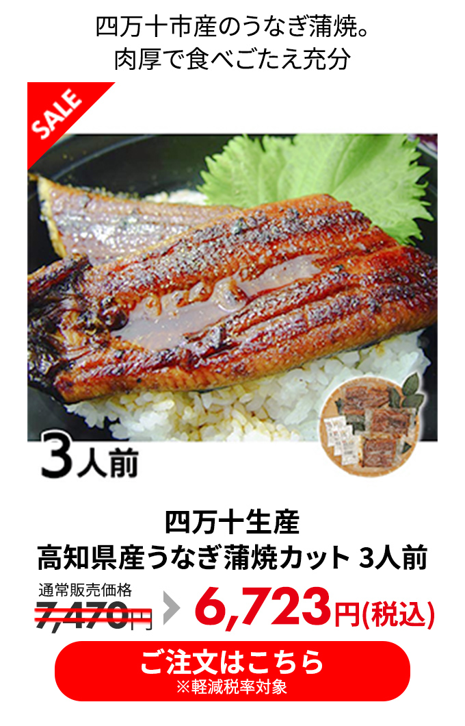 四万十生産 高知県産うなぎ蒲焼カット 3人前