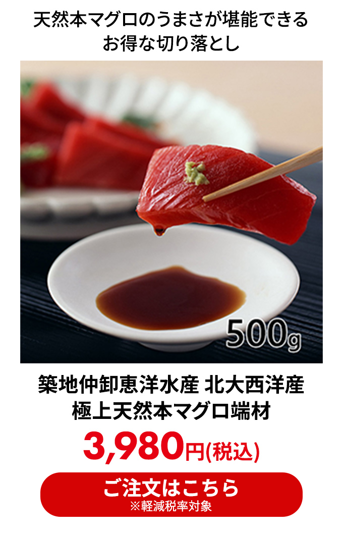 築地仲卸恵洋水産 北大西洋産極上天然本マグロ端材