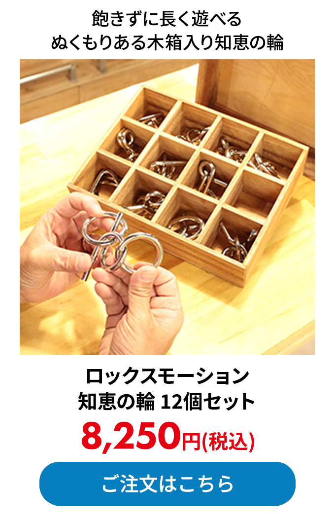 ロックスモーション 知恵の輪 12個セット 