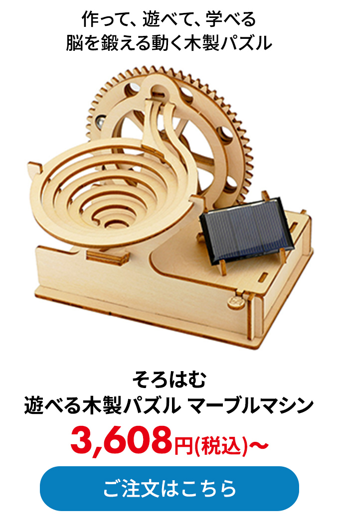 そろはむ 遊べる木製パズル マーブルマシン 