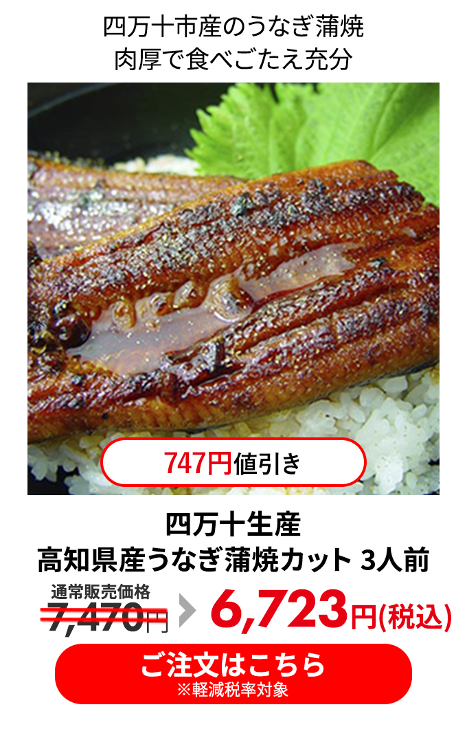 四万十生産 高知県産うなぎ蒲焼カット 3人前