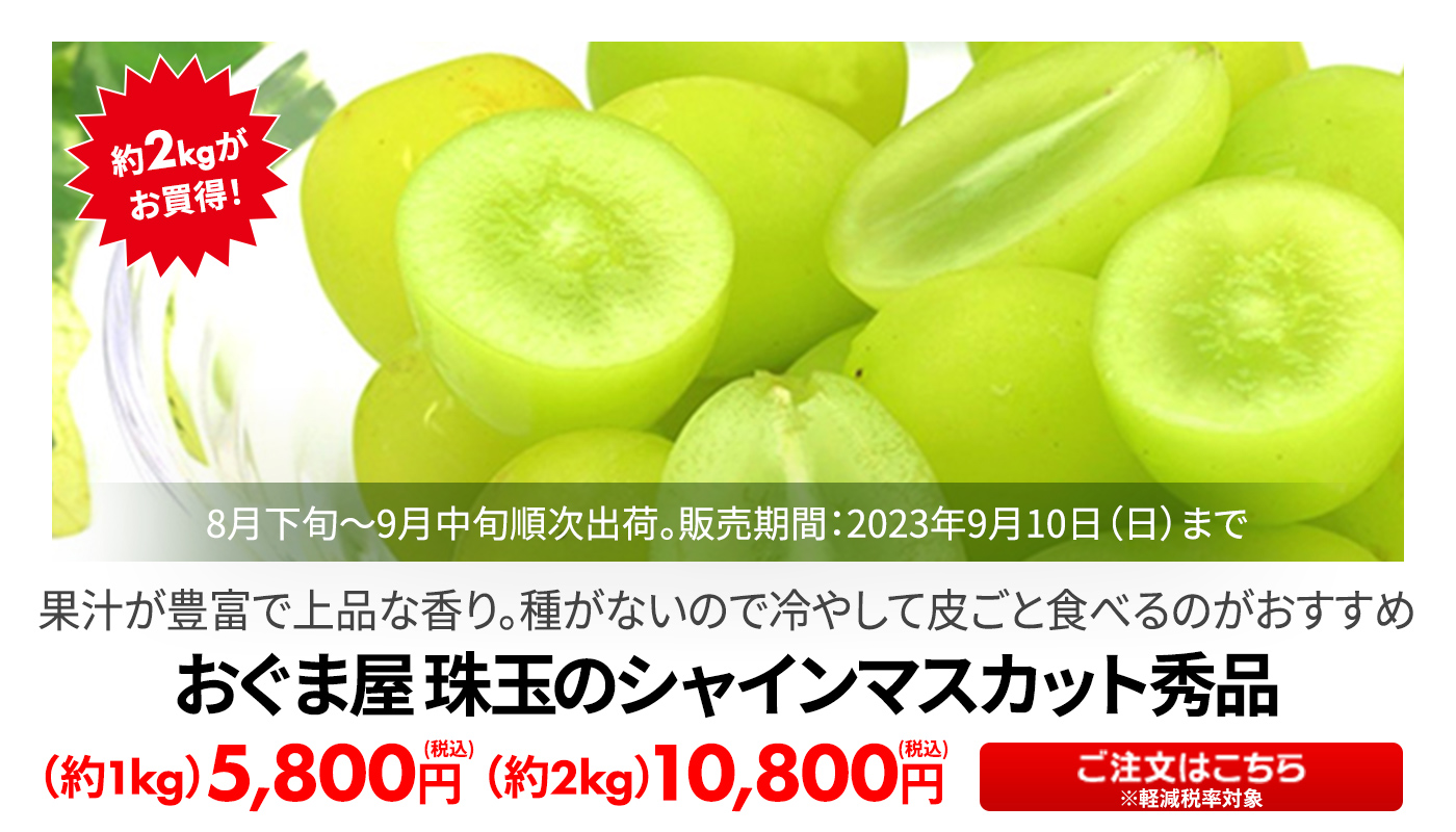 おぐま屋 珠玉のシャインマスカット秀品 約1kg・約2kg