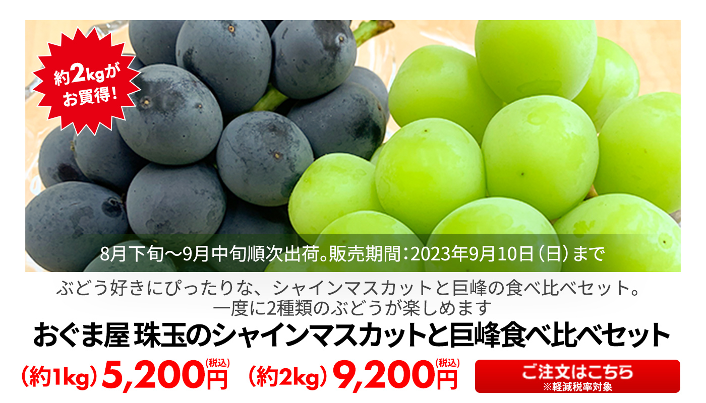 おぐま屋 珠玉のシャインマスカットと巨峰食べ比べセット 約1kg・約2kg