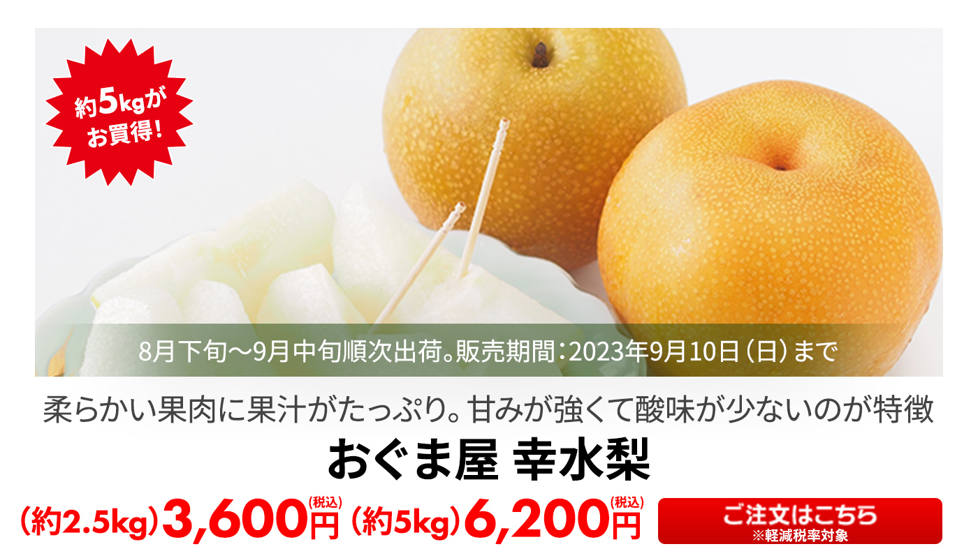おぐま屋 幸水梨 約2.5kg・約5kg