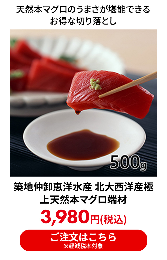 築地仲卸恵洋水産 北大西洋産極上天然本マグロ端材