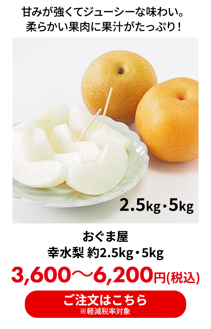 おぐま屋 幸水梨 約2.5kg/5kg