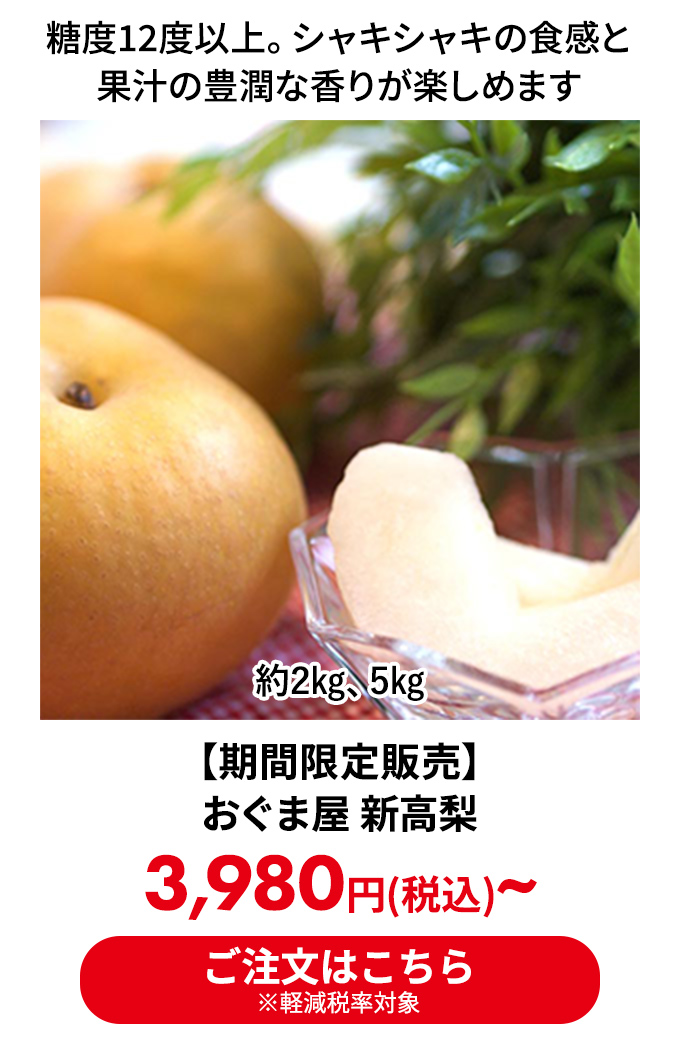 【期間限定販売】 おぐま屋 新高梨