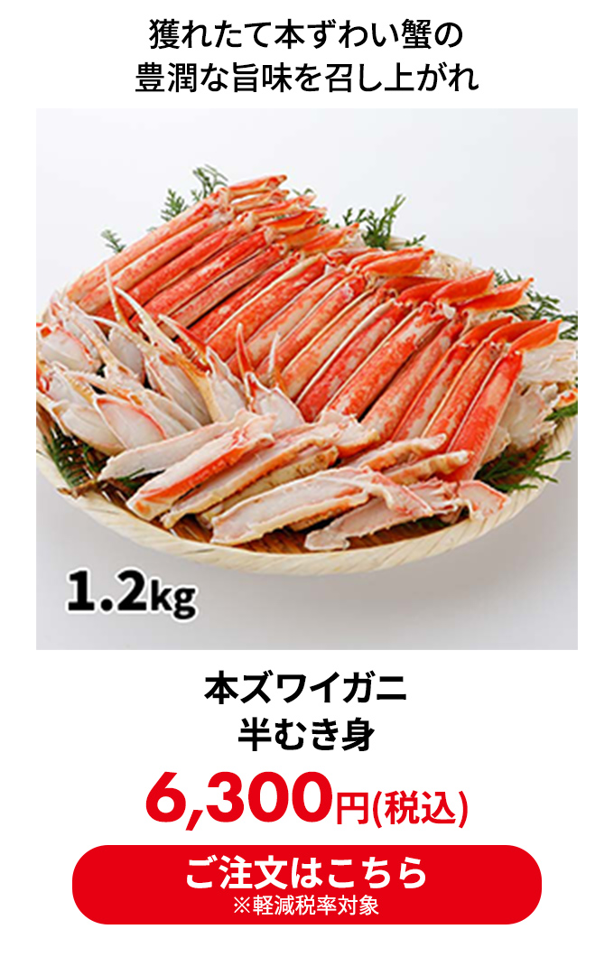 本ズワイガニ 半むき身