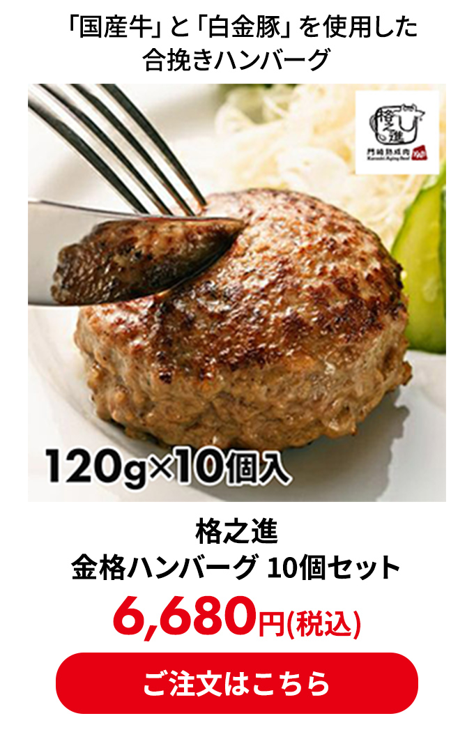 格之進 金格ハンバーグ 10個セット