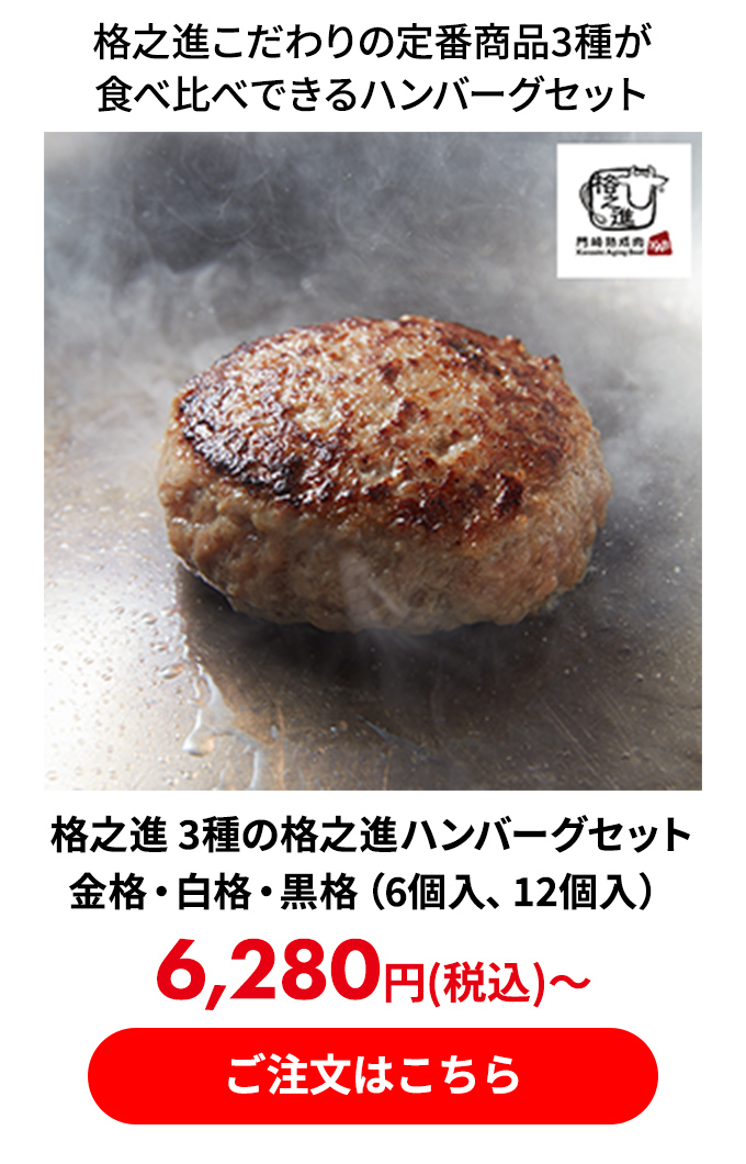 格之進 3種の格之進ハンバーグセット 金格・白格・黒格（6個入、12個入）