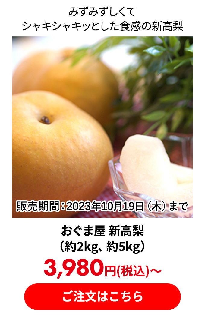 おぐま屋 新高梨 （約2kg、約5kg）