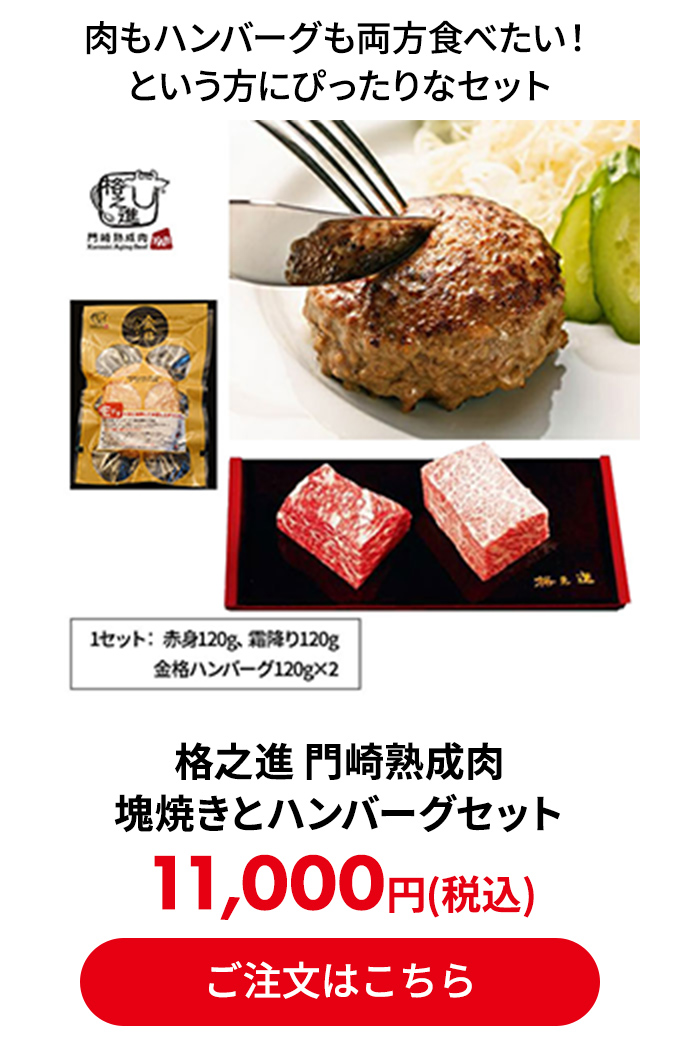 格之進 門崎熟成肉 塊焼きとハンバーグセット