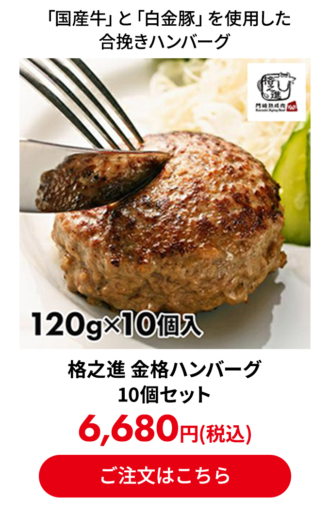 格之進 金格ハンバーグ 10個セット