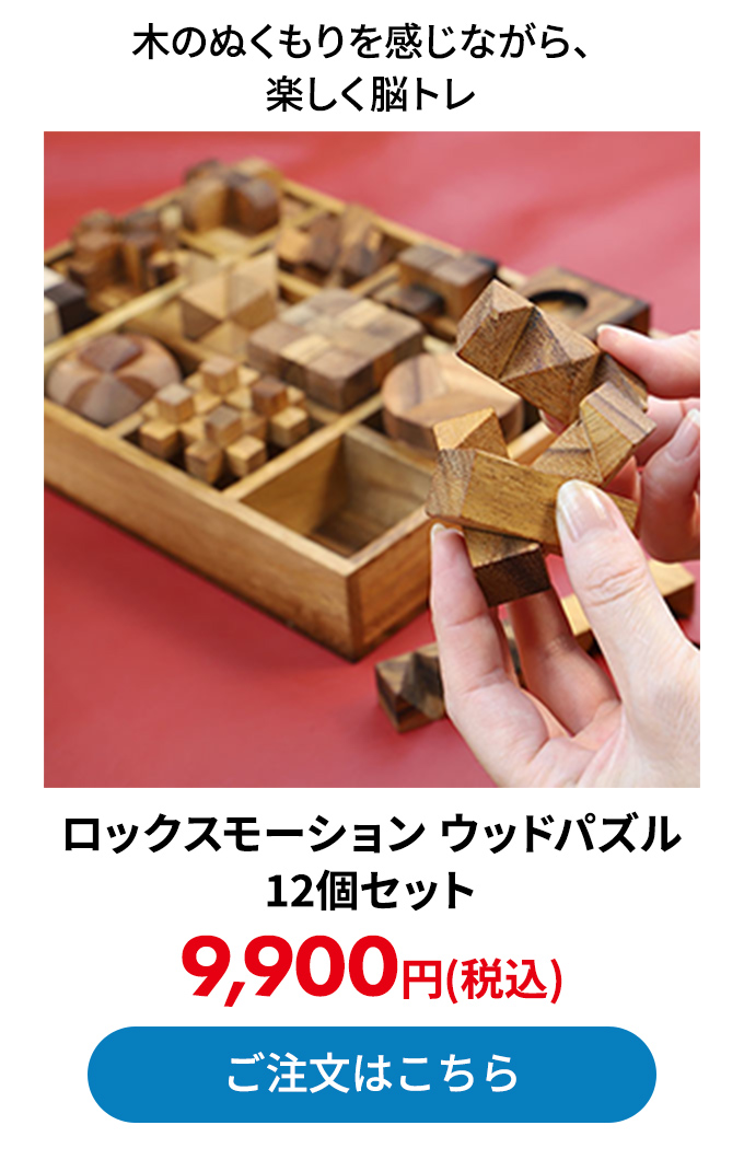 ロックスモーション ウッドパズル 12個セット