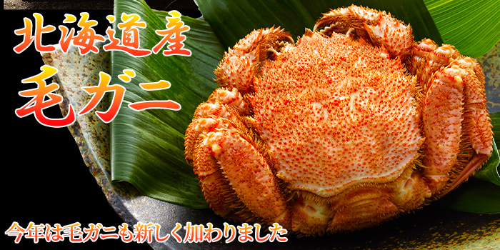 北海道産「毛ガニ」濃厚な味噌とプリプリの身をお届けします