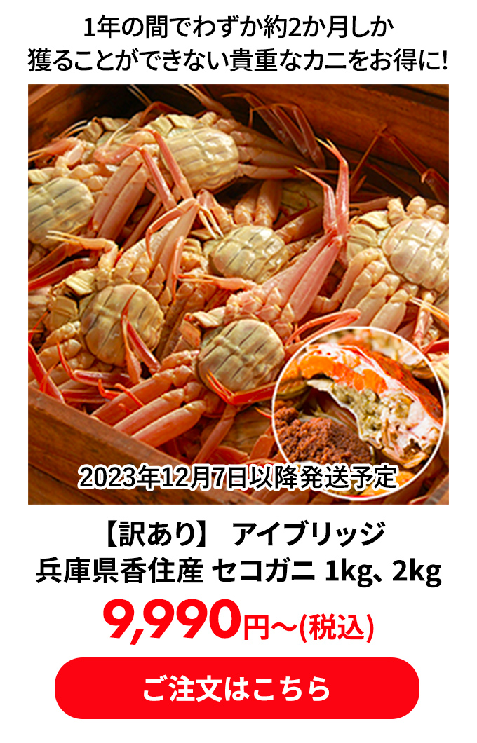 【訳あり】 アイブリッジ 兵庫県香住産 セコガニ 1kg、2kg