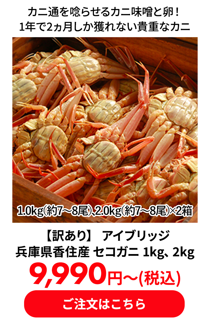 【訳あり】 アイブリッジ 兵庫県香住産 セコガニ 1kg、2kg