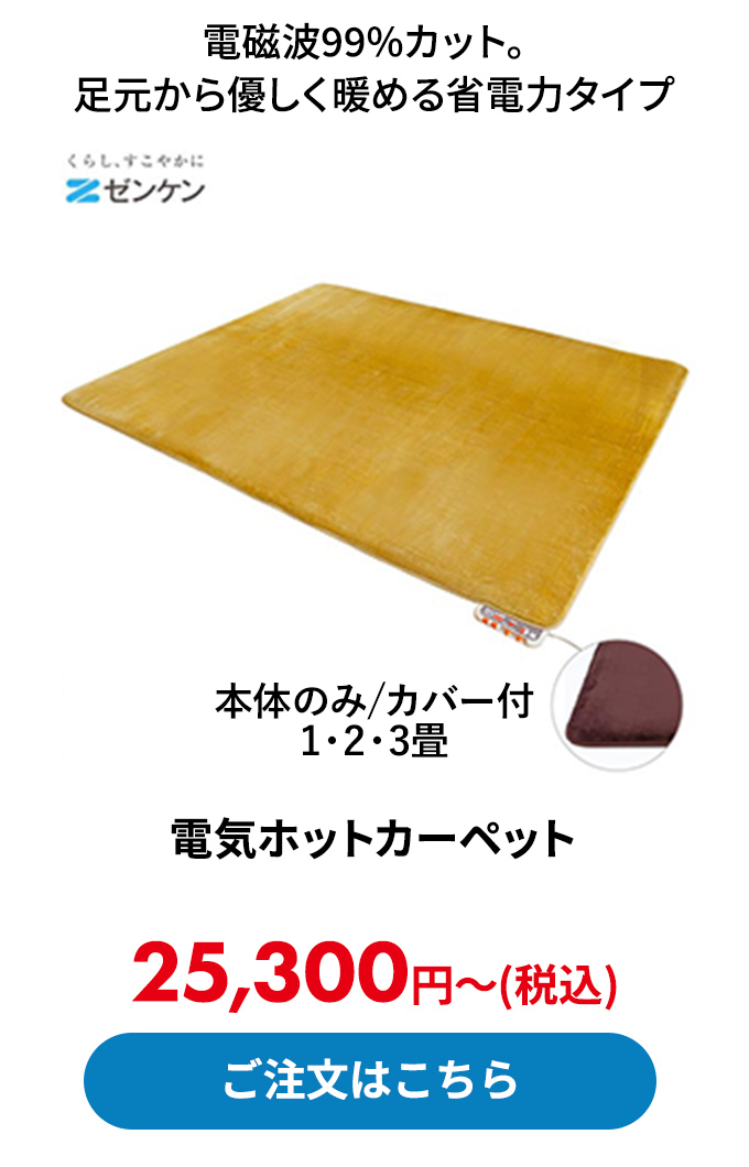 電気ホットカーペット