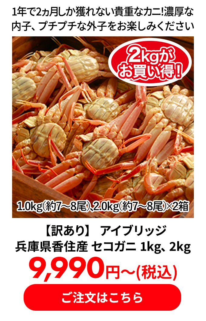 【訳あり】 アイブリッジ 兵庫県香住産 セコガニ 1kg、2kg
