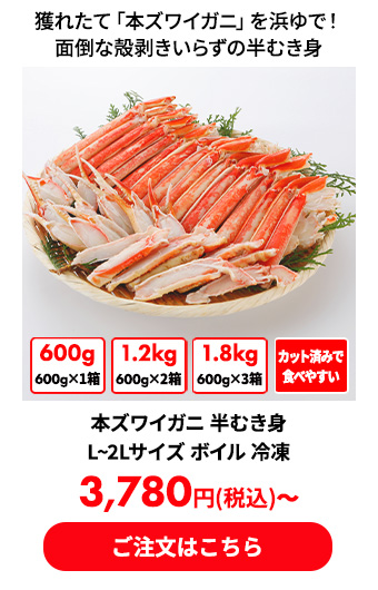 本ズワイガニ 半むき身 L~2Lサイズ ボイル 冷凍