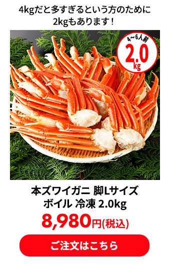 本ズワイガニ 脚Lサイズ ボイル 冷凍 2.0kg