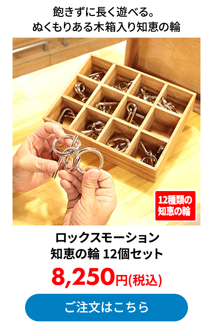 ロックスモーション 知恵の輪 12個セット