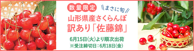 【数量限定】まさに旬の山形県産さくらんぼ 訳あり「佐藤錦」