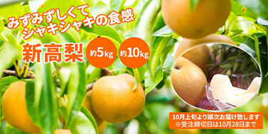 新高梨