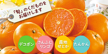くだもの