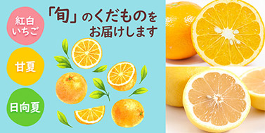 くだもの