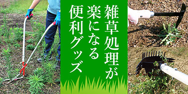 雑草対策