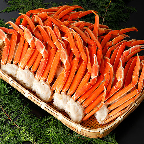  本ズワイガニ 脚Lサイズ ボイル 冷凍 3.0kg（16～20肩入）
