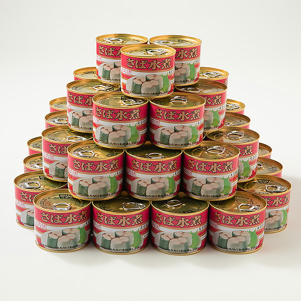 極洋 鯖の水煮缶 24缶