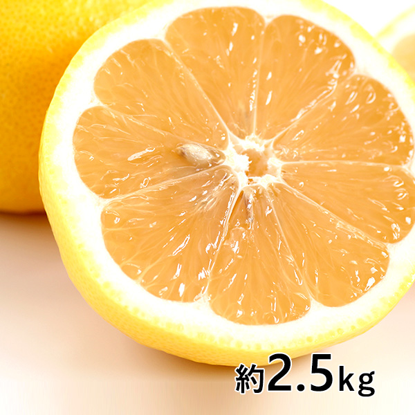 おぐま屋 宮崎産 秀品 日向夏 約2.5kg