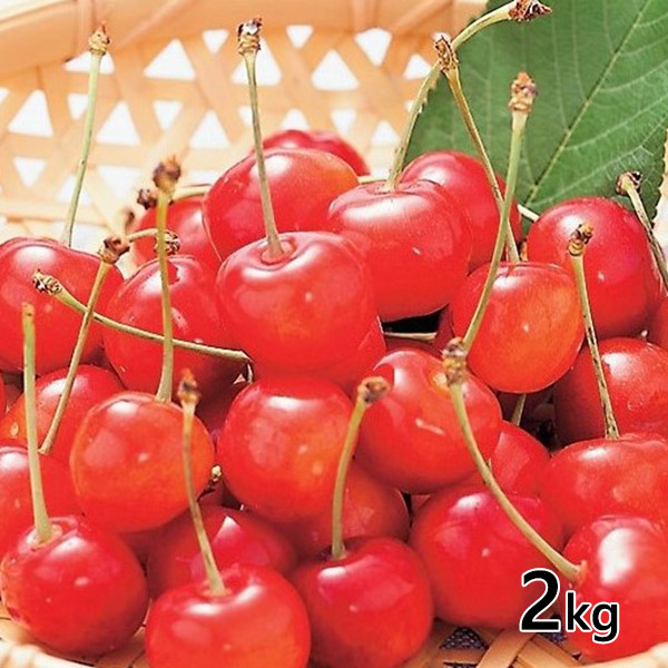 JA天童フーズ　訳ありさくらんぼ佐藤錦　2kg（1kg×2箱）