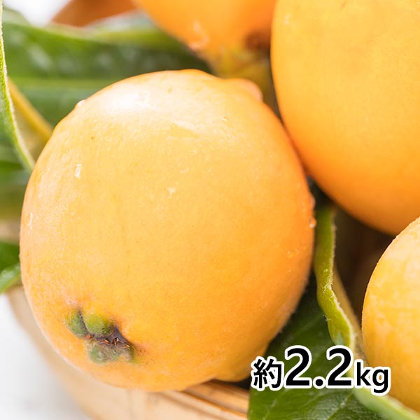 おぐま屋 茂木びわ 8パック 約2.2kg