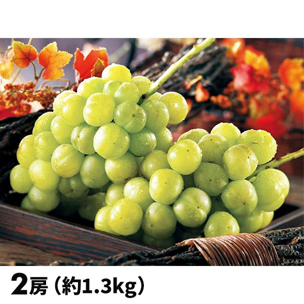 弾ける食感の大粒ぶどう「瀬戸ジャイアンツ」を訳あり価格で販売