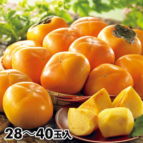 たねなし柿　10キロ】和歌山県産　果物