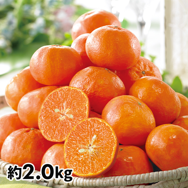 期間限定販売 濃厚な味わいが初夏まで楽しめる愛媛県産「カラ